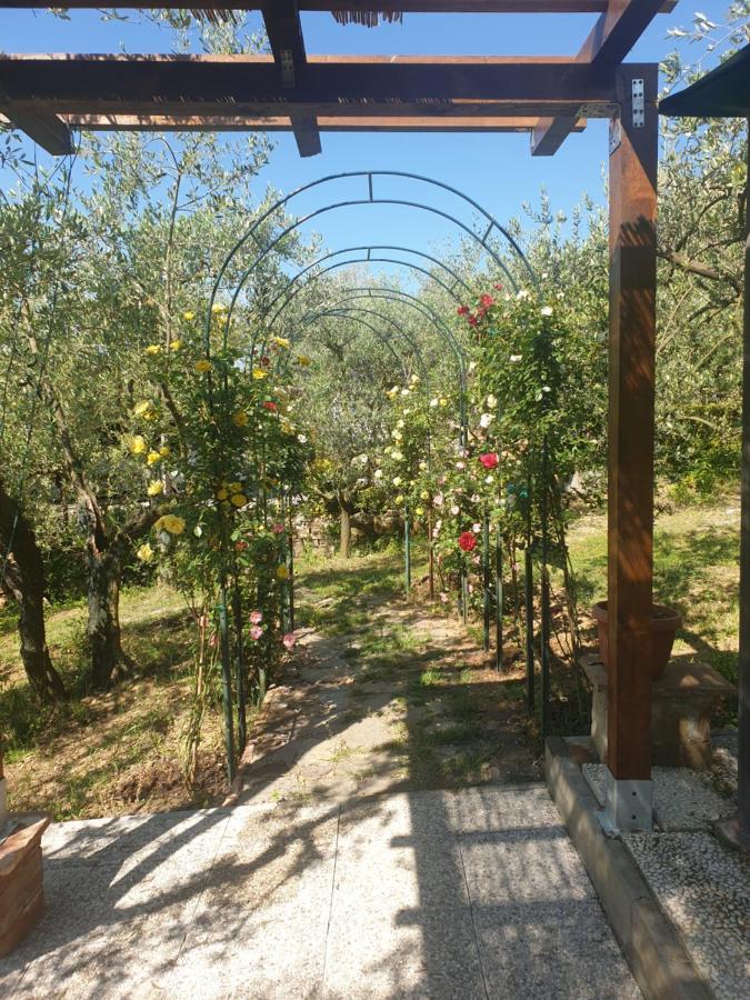 Casa Vacanze L'Oliveta Сиена Екстериор снимка