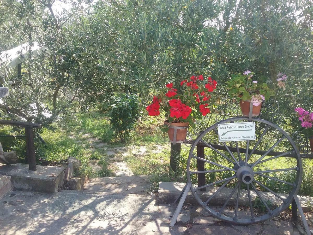 Casa Vacanze L'Oliveta Сиена Екстериор снимка
