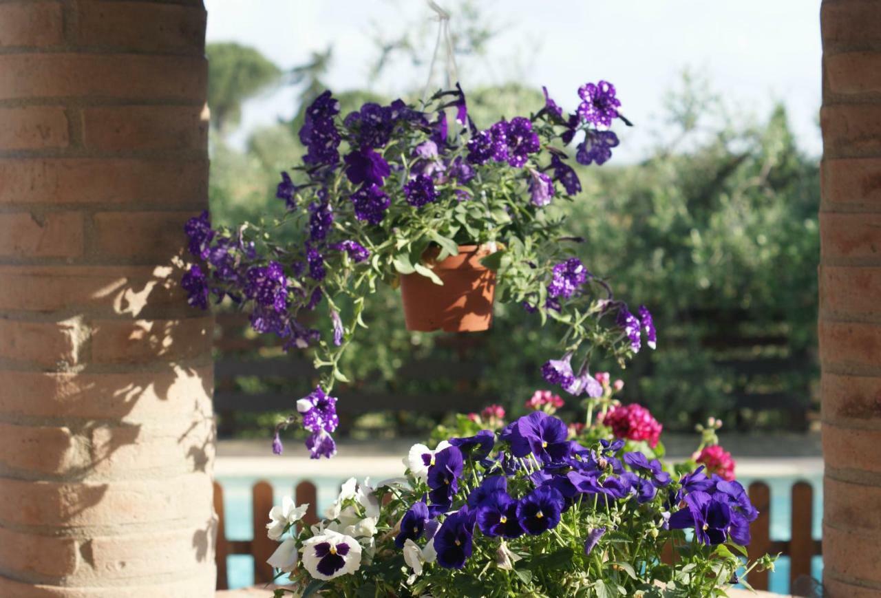 Casa Vacanze L'Oliveta Сиена Екстериор снимка